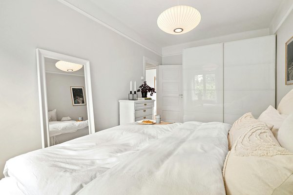 Top Low-Light Indoor Plants to Purify Air in Your UK Apartment